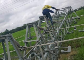 Bolts & Nuts Thieves Collapse ECG Pylons