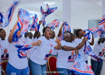 Start house-to-house campaign-Napo charges NPP