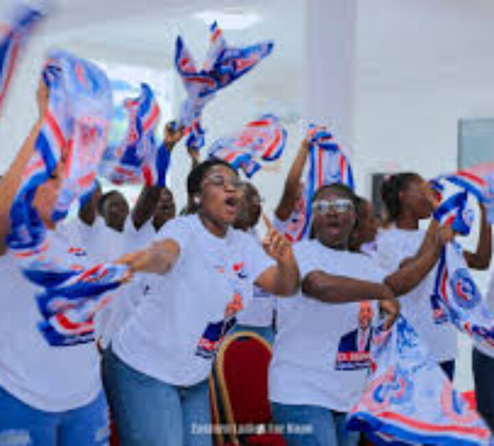 Start house-to-house campaign-Napo charges NPP