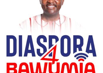 Diaspora4DMB Condemns NDC’s Pro-Galamsey Campaign