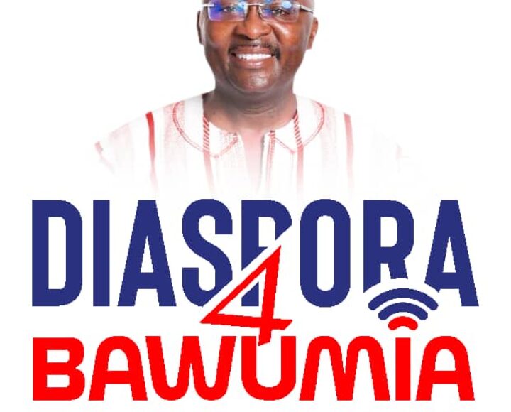 Diaspora4DMB Condemns NDC’s Pro-Galamsey Campaign