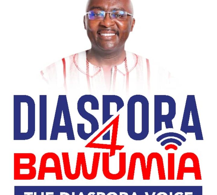 Diaspora4DMB Condemns NDC’s Pro-Galamsey Campaign