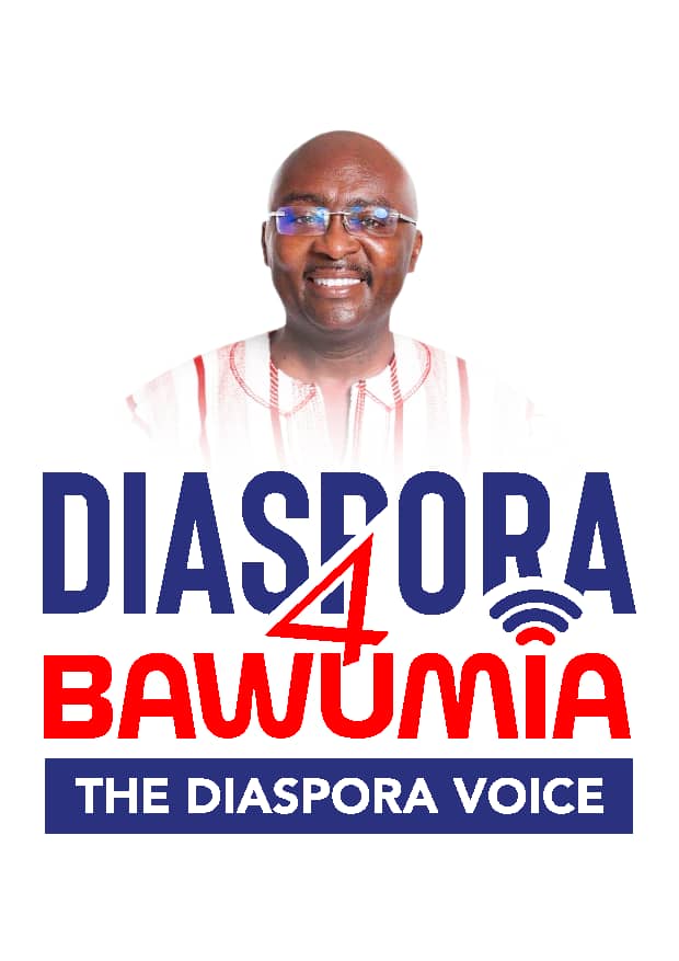 Diaspora4DMB Condemns NDC’s Pro-Galamsey Campaign