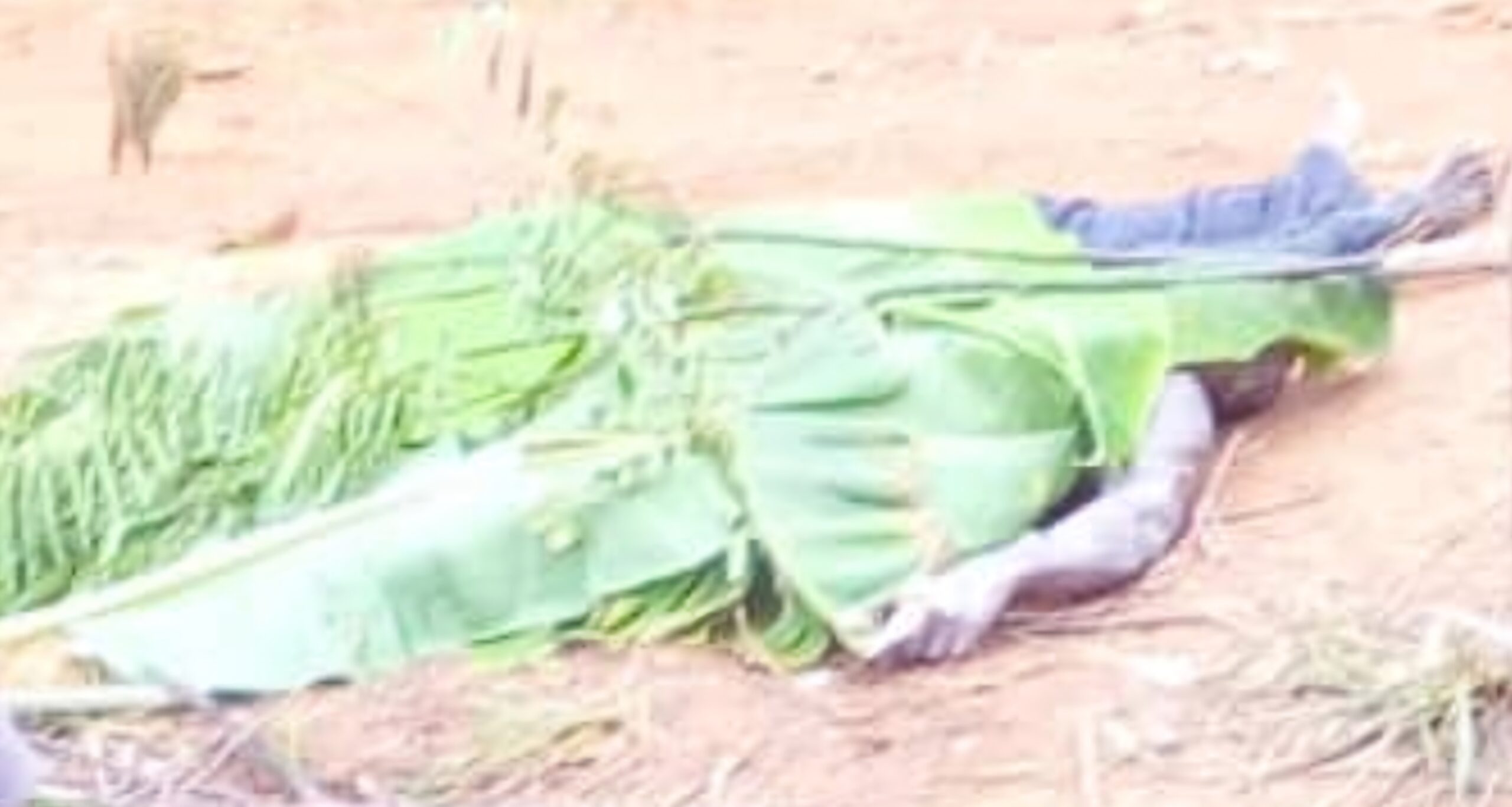 2 illegal miners killed