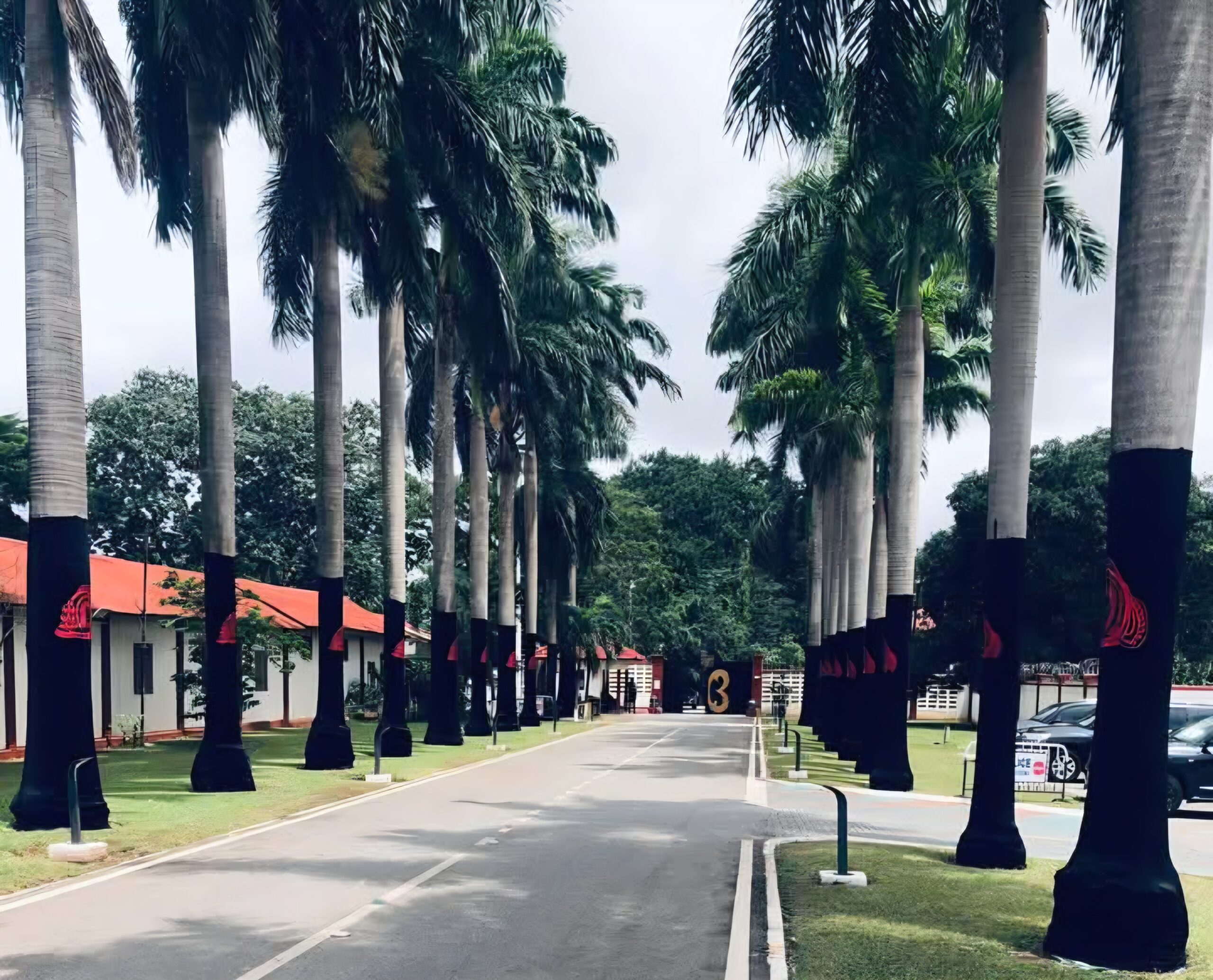 Manhyia Palace goes black over Asantehemaa’s demise
