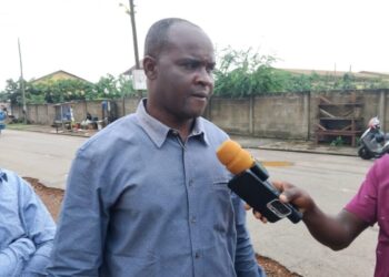 Asokwa New Town Resident Destroys Assembly Member’s Coconut Seedlings