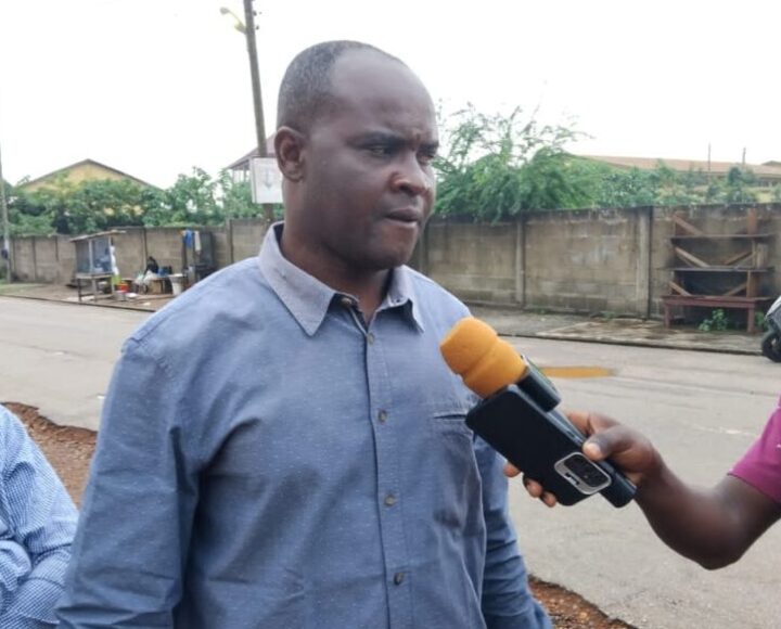 Asokwa New Town Resident Destroys Assembly Member’s Coconut Seedlings