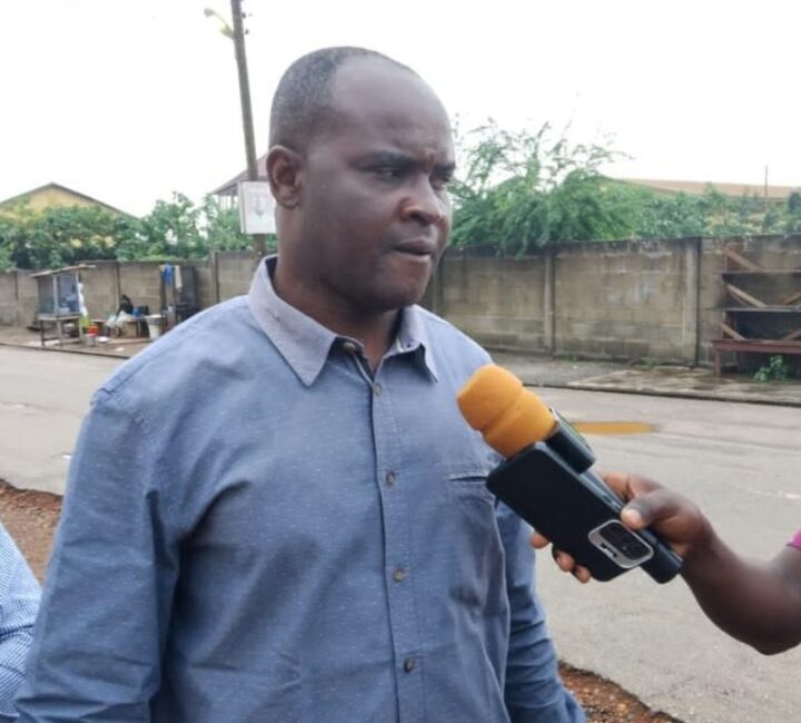 Asokwa New Town Resident Destroys Assembly Member’s Coconut Seedlings