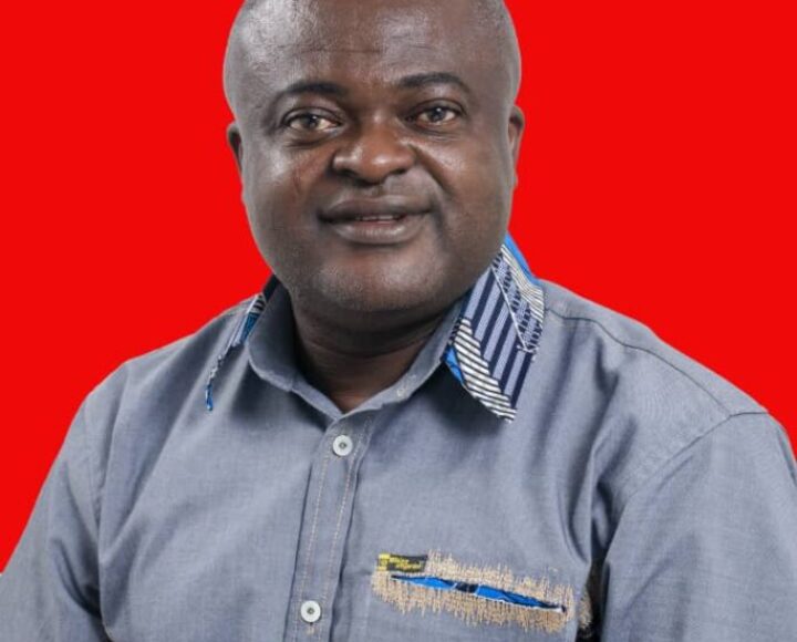 NALAG Member Urges MMDAs to Prioritize Security and Social Concerns