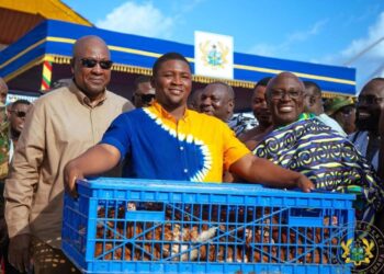 IMG-20251113-WA0416 Government Lauded for Nkoko Nketenkete Initiative