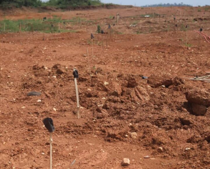 Mahama Spearheads Restoration…As Lands Ministry Reclaims 800 Acres of Galamsey-Degraded Land at Nyankumase