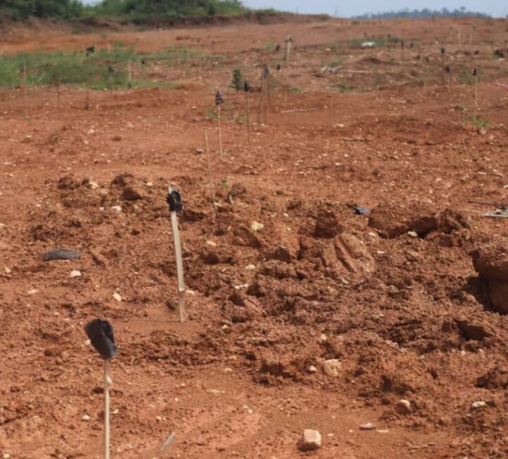 IMG-20260204-WA0247 Mahama Spearheads Restoration…As Lands Ministry Reclaims 800 Acres of Galamsey-Degraded Land at Nyankumase