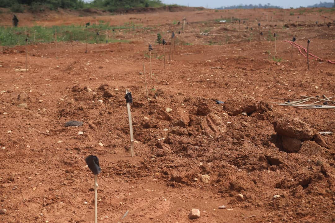 IMG-20260204-WA0247 Mahama Spearheads Restoration…As Lands Ministry Reclaims 800 Acres of Galamsey-Degraded Land at Nyankumase