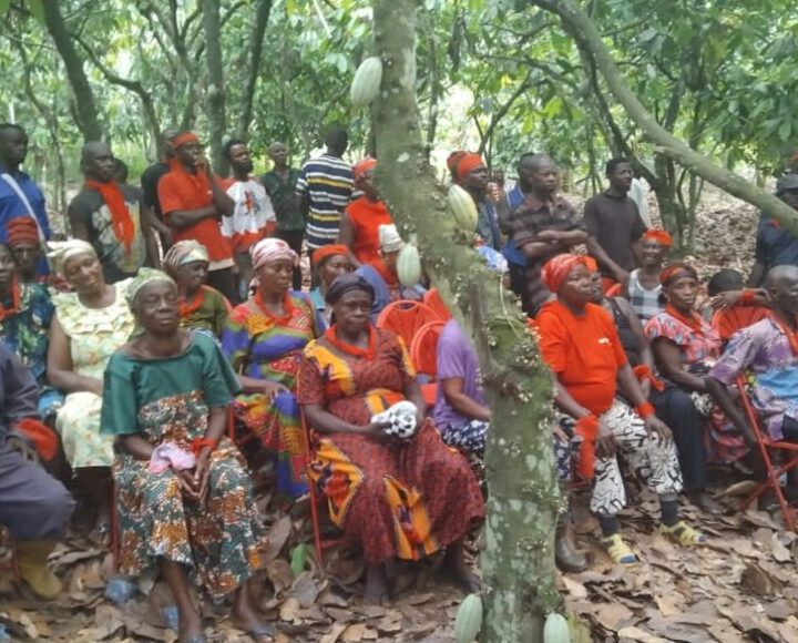 Adansi Asokwa Farmers rain curses on MP for boycotting forum