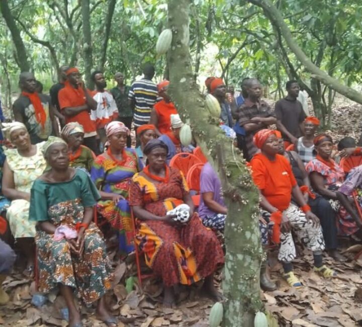 IMG-20260319-WA0207 Adansi Asokwa Farmers rain curses on MP for boycotting forum