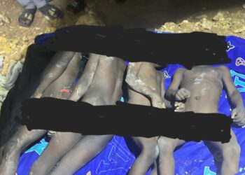 Screenshot_20260324_125159_WhatsAppBusiness Galamsey pit swallows 2 sets of twins