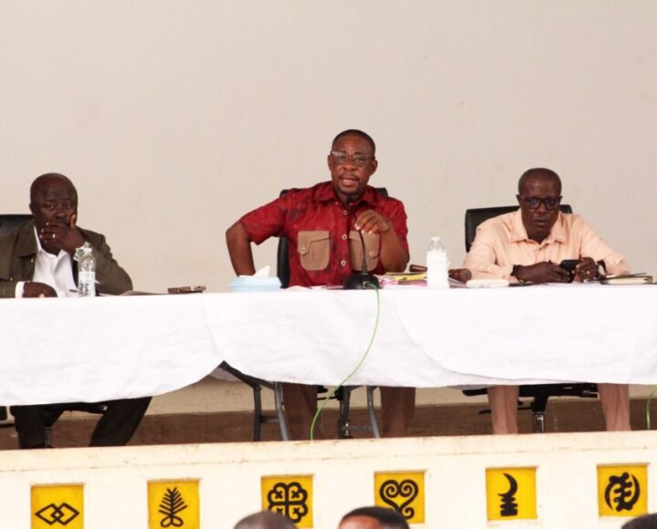 KMA PM urges assembly members to prioritise committee work