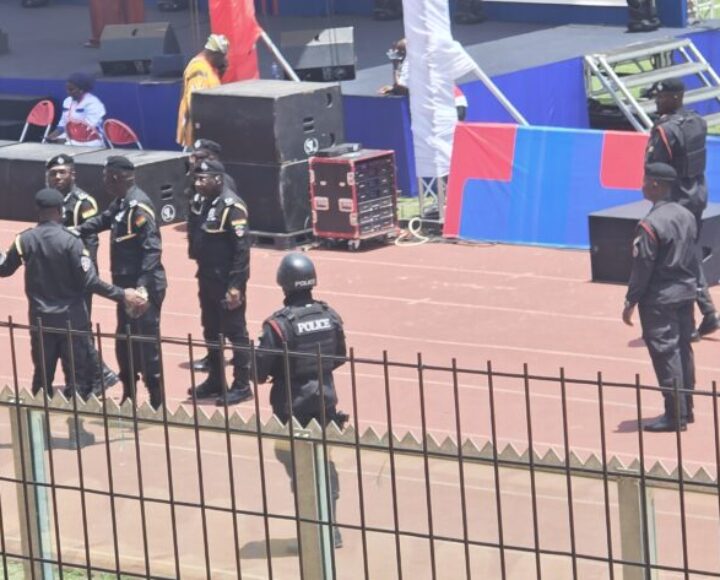Tight Security At NPP Polls