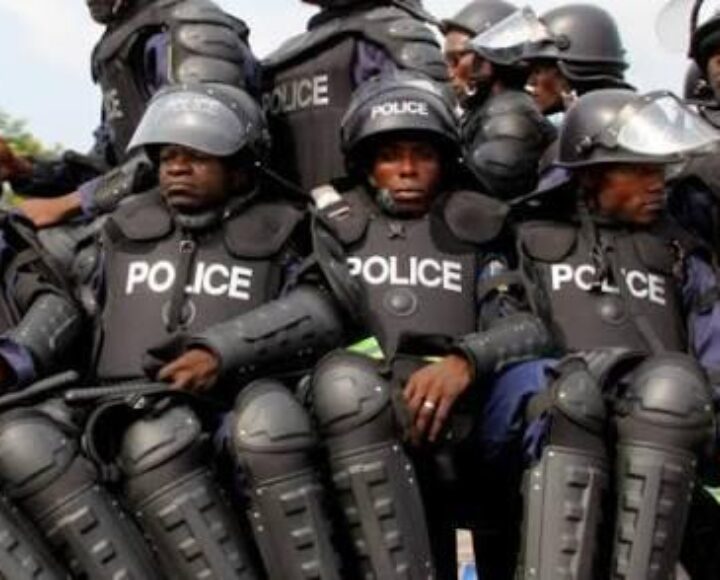 3,000 Cops To Provide Security At NPP polls